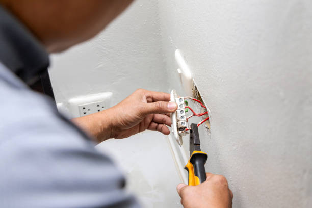 Best Electric Panel Repair  in New Cassel, NY